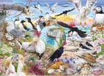 GIBSONS Puzzle RSPB: Krídla v divočine