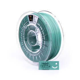 PLA filament fresh mint 1,75 mm Print With Smile 0,5 kg
