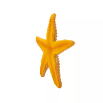 Safari Ltd. Safari Ltd. Oranžová hviezdica