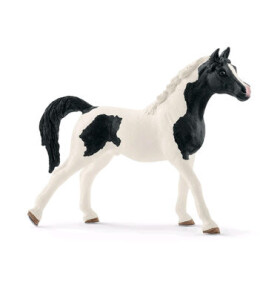 Schleich Horse Club 13840 Pinto arab - žrebec