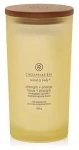 Chesapeake Bay Strength + Energy Vonná sviečka 355 g (5038581114415)