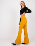 Kalhoty LC SP 22K model 22170531 tmavě žlutá 40 - FPrice