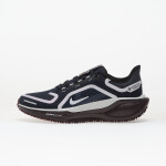 Tenisky Nike Pegasus 41 Gore-Tex Dark Obsidian/ Pure Platinum-Black EUR 42