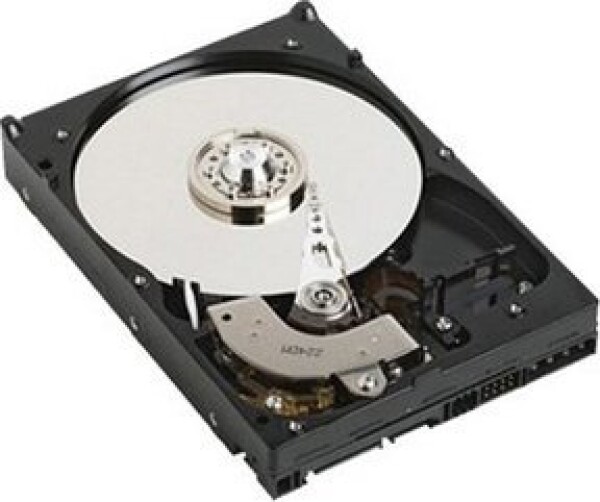 Dell 1TB 3.5'' SAS-2 (6Gb/s) (DGNTV)