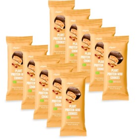 Vilgain Plant Protein Mini Cookies BIO – 10× Arašidy so slaným karamelom 50 g (2 x 25 g)