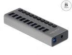 Delock Externý SuperSpeed USB Hub šedá / 10 portov (63670)