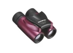 Olympus 8x21 RC II