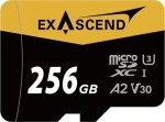 ExAscend Catalyst MicroSDXC 256 GB UHS-I/U3 A2 V30 (EX256GUSDU1-AD)