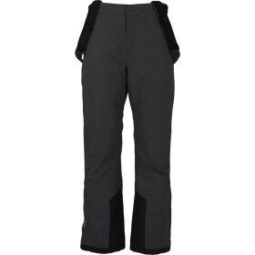 Pánské lyžařské kalhoty Whistler Drizzle M Ski Pant W-Pro 10000 M