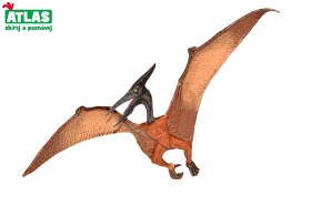 C - Figúrka Dino Pteranodon 22cm, Atlas, W101836