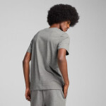 Puma Ess Small No.1 Logo Tee M 682534 03 Pánske M