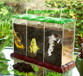 Learning Resources Learning Resources Pozorovací kompostér