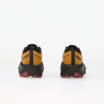Tenisky Asics Novablast 6 Gtx Sandstorm/ Black EUR 45