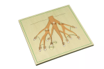 Moyo Montessori Moyo Montessori Puzzle - koreň