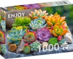 ENJOY Puzzle Sukulenty