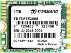 Transcend Transcend MTE300S 2230)