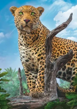 Trefl - Puzzle - Divoký leopard