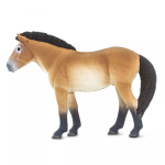 Safari Ltd. Safari Ltd. Figúrka - Kôň Przewalského