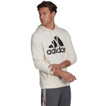 Mikina adidas Big Logo Hoody FT HD HE1846