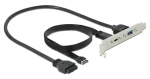 DeLock Slotová záslepka USB-C a USB-A čierna / Adaptér do PC skrine / USB 3.2 Gen 2 / 0,5 m (89934)