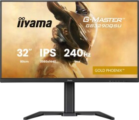 Iiyama G-Master GB3290QSU-B1 Gold Phoenix