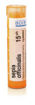 SEPIA OFFICINALIS 15CH granule 4 g