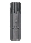 BOSCH 2607002802 / Sada bitov Extra Hard T40 / 25 ks (2607002802)