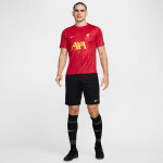 Tričko Nike Liverpool FC Academy Pro SStop FN9653-688