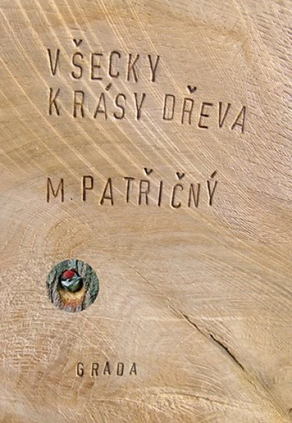 Všecky krásy dřeva, Patřičný Martin