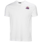 Helly Hansen Core Graphic T 2.0 M 54599 002 tričko 2XL