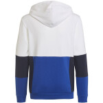 Adidas Colourblock Hoodie Jr HG6826