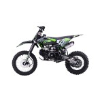 Mamido Detská benzínová motorka RamiGO IMMORTAL 110CC zelená