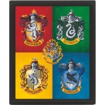 Pyramid International 3D obraz Harry Potter farebný