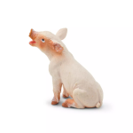 Safari Ltd. Safari Ltd. Sele