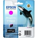 Epson Toner T7603 Ultrachróme HD (vivid magenta)