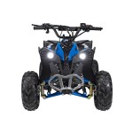 Mamido Detská benzínová štvorkolka RENEGADE HIPERFECT 110CC modrá