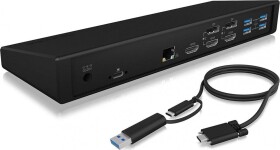 Icy Box USB-C (IB-DK2244AC)