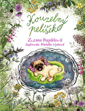 Kouzelný pelíšek, Pospíšilová Zuzana