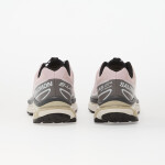 Tenisky Salomon XT-6 Cloudburst/ Icy Pink/ Tapioca EUR 36