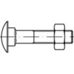 TOOLCRAFT TO-5448279 plochá okrúhla skrutka M6 35 mm štvorhran DIN 603 mosaz 100 ks; TO-5448279