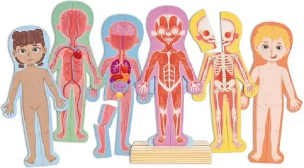 Hape Magnetické puzzle - Ľudské telo