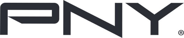 PNY PRO ELITE HIGH ENDURANCE 256GB