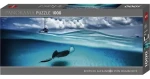 HEYE Panoramatické puzzle Raja (Kajmanie ostrovy)