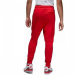 Jordan Essentials Fleece M CV8347-657 XXL