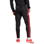 Nohavice adidas Tiro 24 Slim Training M JP2489 S