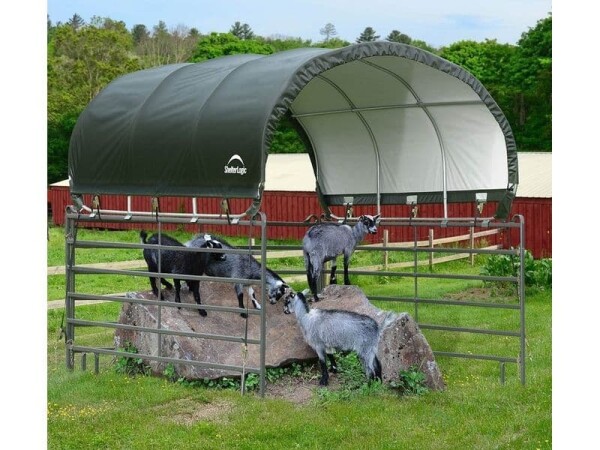Plachtový prístrešok pre kone – ShelterLogic 3,7 × 3,7 m zelený