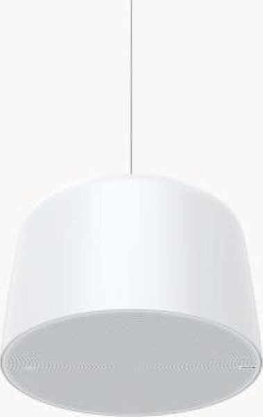 Axis AXIS C1510 NETWORK PENDANT