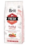 Brit Fresh Dog Large Puppy Beef/Pumpkin Growth &amp; Joints