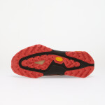 Tenisky Nike ACG Zegama Trail GORE-TEX Linen/ Black/ Light Crimson/ Light Orewood Brown EUR 44