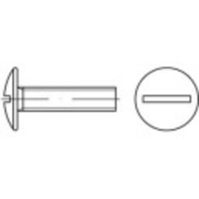 TOOLCRAFT 159307 závrtné skrutky na stenu M6 16 mm drážka 88107 ocel glavanizované zinkom 500 ks; 159307